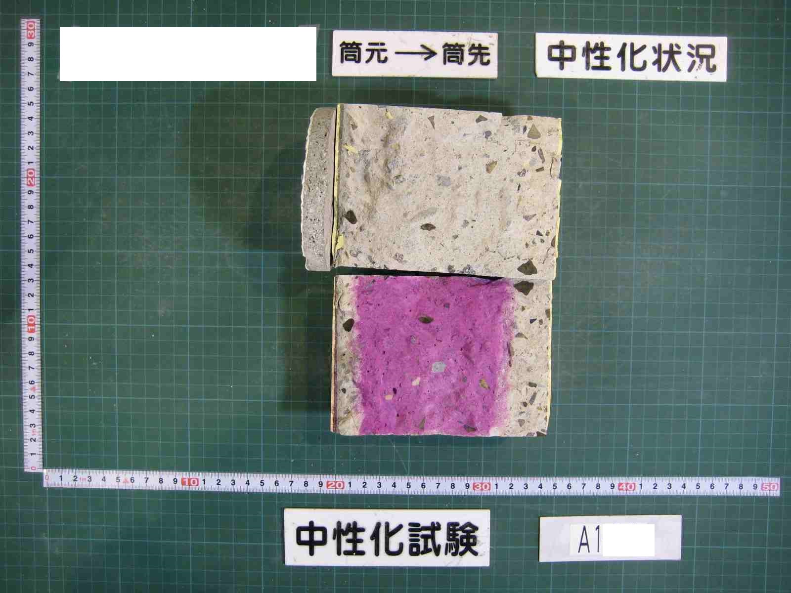 コンクリート中性化試験のコア画像